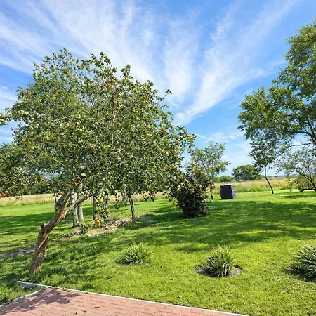 Huus Ant Diek, Luxus In Deichnähe, Erdgeschosswohnung Mit Pool Ferienhaus *